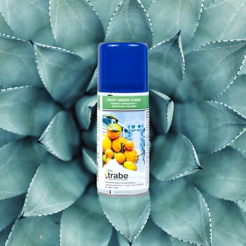 Fruit-Green Clean Aerosol