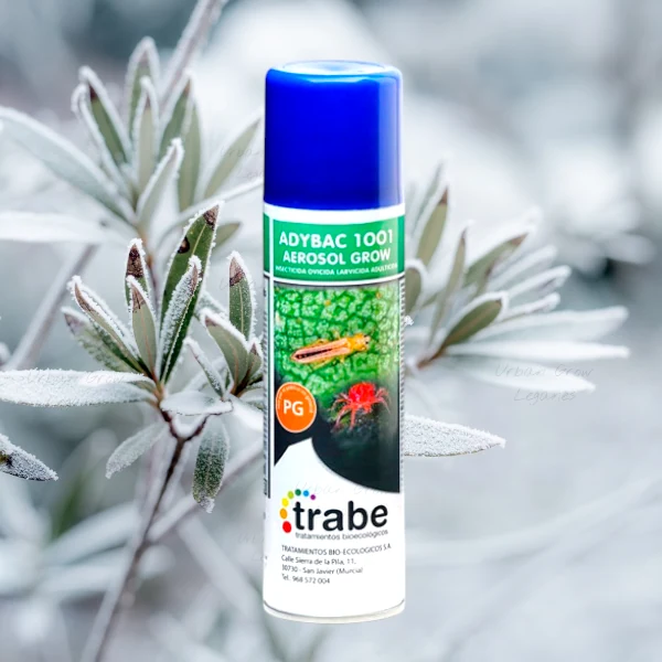 Adybac 1001 aerosol grow
